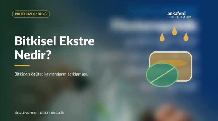 Bitkisel ekstreyi temsil eden yaprak, özüt kabı ve damla çizimi