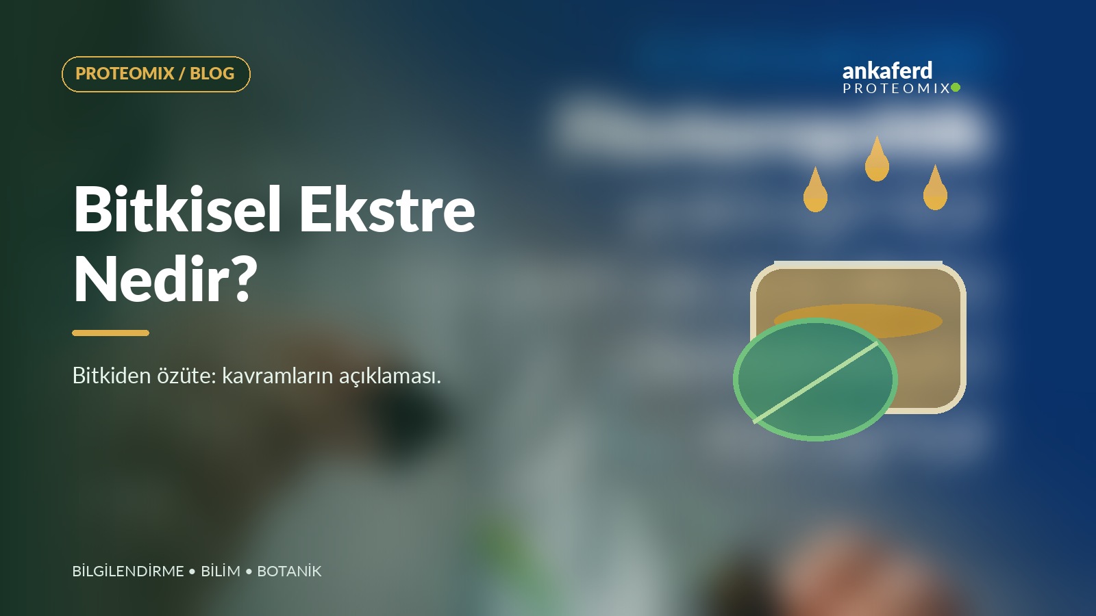 Bitkisel ekstreyi temsil eden yaprak, özüt kabı ve damla çizimi