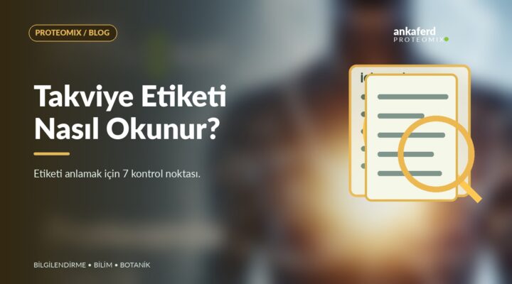 Etiket okumayı temsil eden kontrol listesi ve büyüteç çizimi