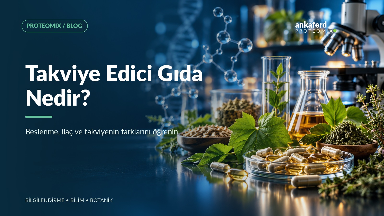 Bitkisel hammaddeler ile takviye edici gıda formlarını gösteren editoryal kompozisyon